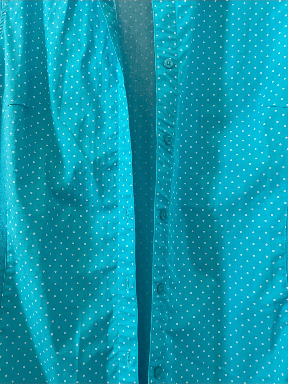 Zac & Rachel Turquoise Polka Dot Sleeveless Button-Down Shirt - Picture 5 of 8